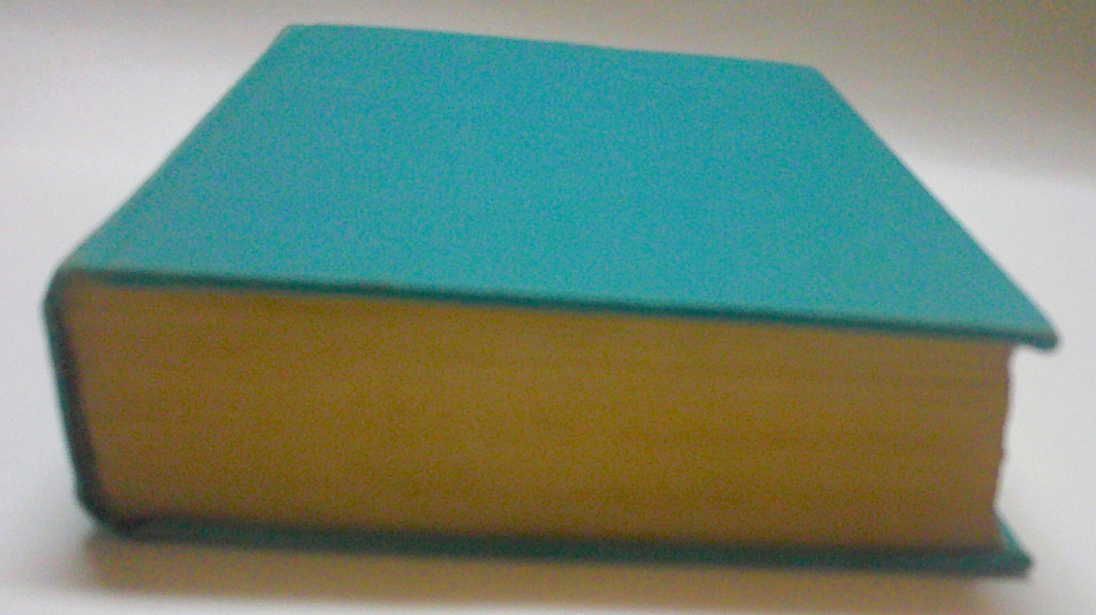 Picture 16 of 19
