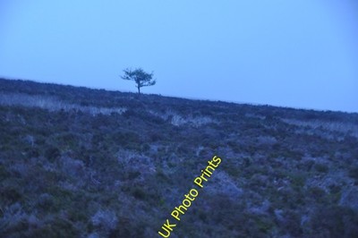 Photo A2 West Somerset : Exmoor - Moorland Scenery Codsend Looking acros c2014