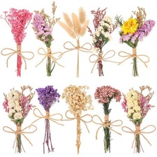 10 Pack Pro Size Dried Flower Bouquets Various Natural Dried Flower Combinati...