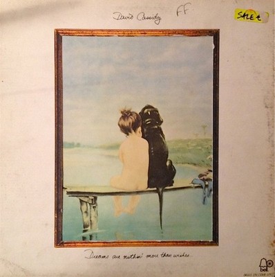 David Cassidy - Dreams Are Nuthin' More Than Wishes... (LP) (Very Good Plus (VG+