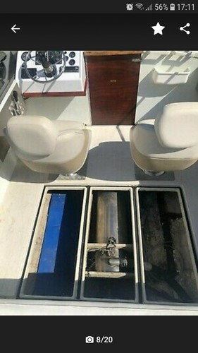 Motorboot mit Trailer TÜV letztes Jahr Neu - Bild 12 von 14