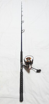 cheap saltwater spinning combo Dr.Fish Surf Fishing Rod and Reel Fishing Gear 12ft Surf Rod 10000 Spinning Reel Deep Sea Offshore Ocean Equipment Set : Sports & Outdoors this spinning combo features a durable spinning reel and a high Daiwa BG Saltwater Spinning Combo