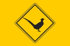 Sticker Caution Pheasant Flag 15 x 10 cm Car Sticker