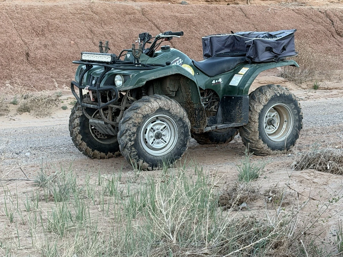 Private Seller Utility ATVs for sale | eBay