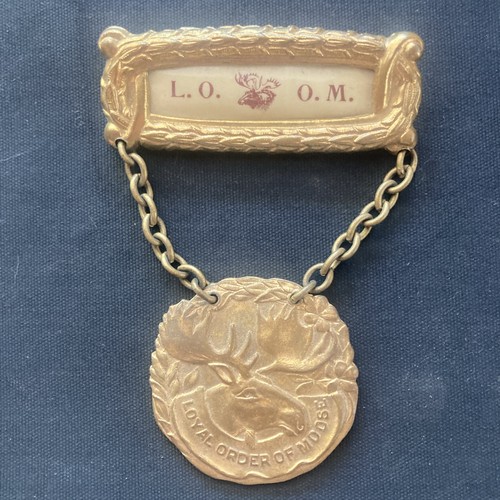 Loyal Order Of Moose / L.O.O.M / Badge w/chains - tie bar