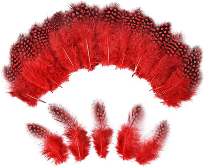 Spotted Feathers 120Pcs 2-3Inch Small Natural Bulk Guinea Pheasant Feather for C