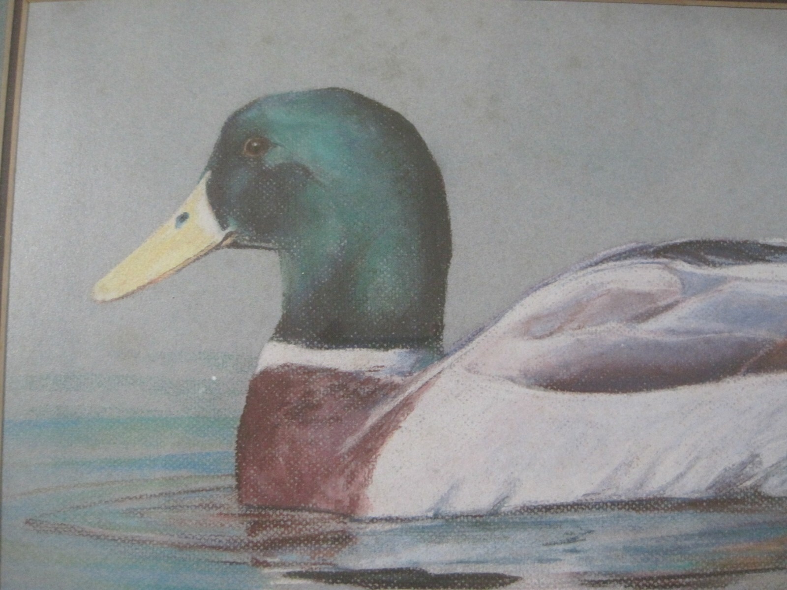 Judson Williams, 1985 Signed Framed LE 214/850 Duck Art Print 22" x 18