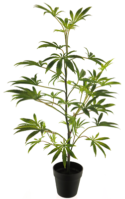 Knstlicher Marihuana Baum Hhe ca. 90 cm Grn eingetopft Cannabis  Hanfpflanze | eBay.de