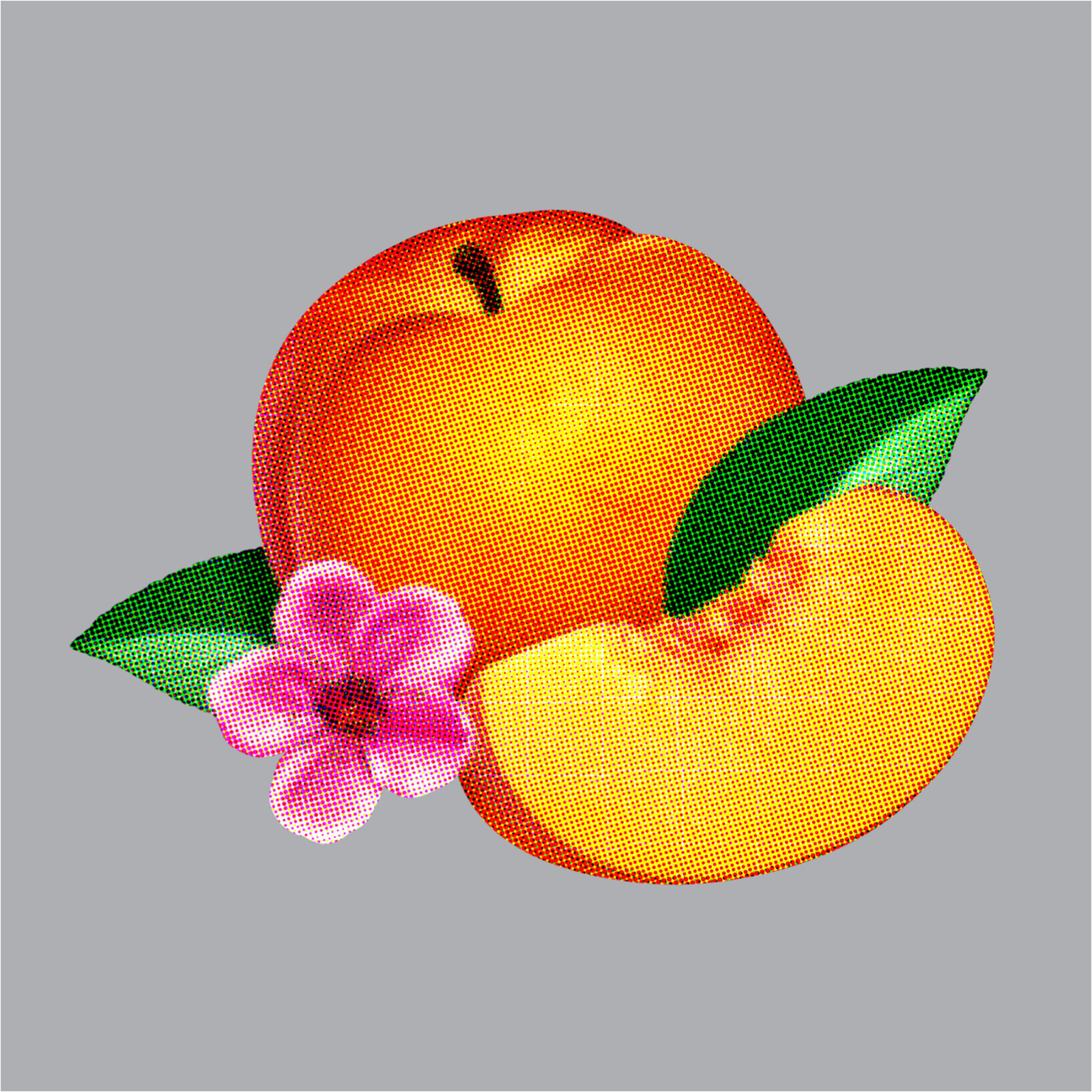 Phoenix Bankrupt! (Vinyl LP) 12" Album