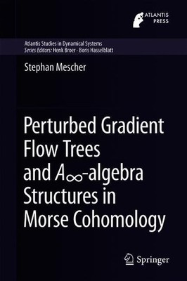 Perturbed Gradient Flow Trees and A?-algebra Structures in Mo... - 9783319765839
