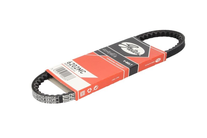 Fits GATES GAT6202MC V-Belt GAT6202MC V-Belt (10x550/560)