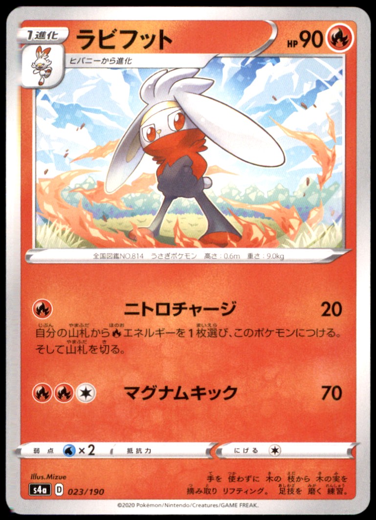 Raboot 008/060 S1H: Shield Regular NM Pokémon TCG