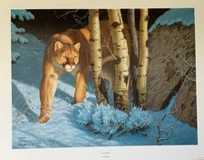 SILENT HUNTER - Print By Wildlife Artist Tom Mansanarez - Signed & Numbered