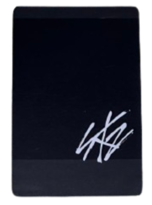 stray kids アイエン unlock ソウルコン ポラロイド Stray Kids I.N IN District 9 : Unlock in Seoul Official Polaroid