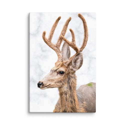Cabin Wall Decor Canvas Wall Art Modern Wildlife Print Lodge Living - Picture 8 of 11
