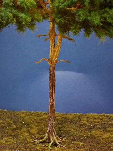 Diorama Modell Nadelbäume, 1 Waldkiefer, ca. 40 cm hoch - Picture 6 of 7