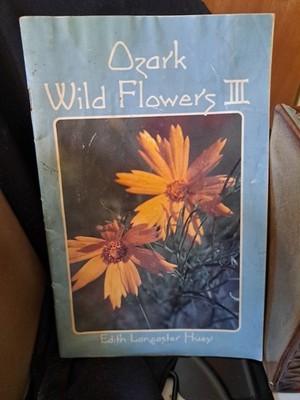 Ozark Wild Flowers III by Edith Huey