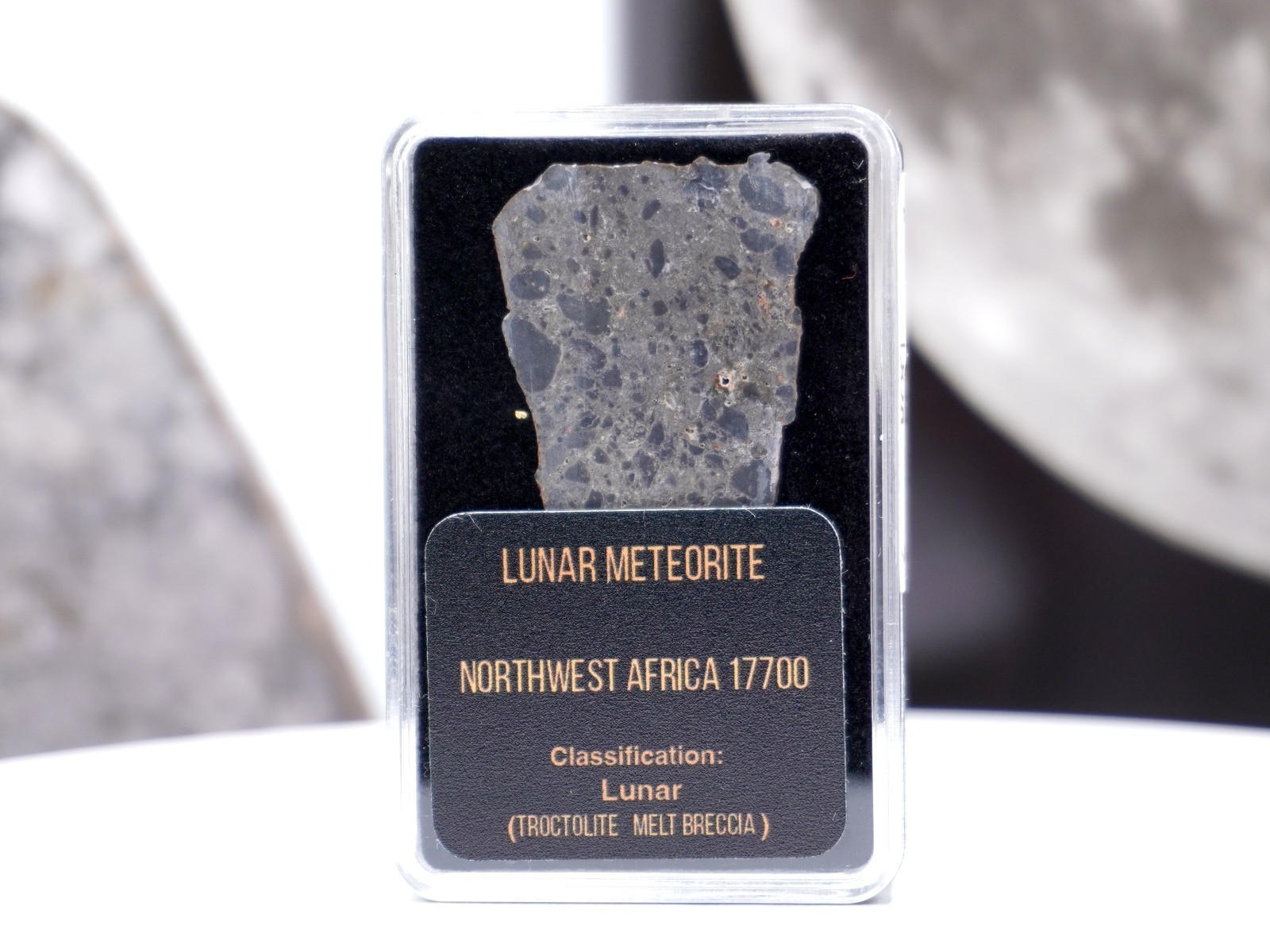 NWA 17700 – Lunar Meteorite Troctolite Melt Breccia