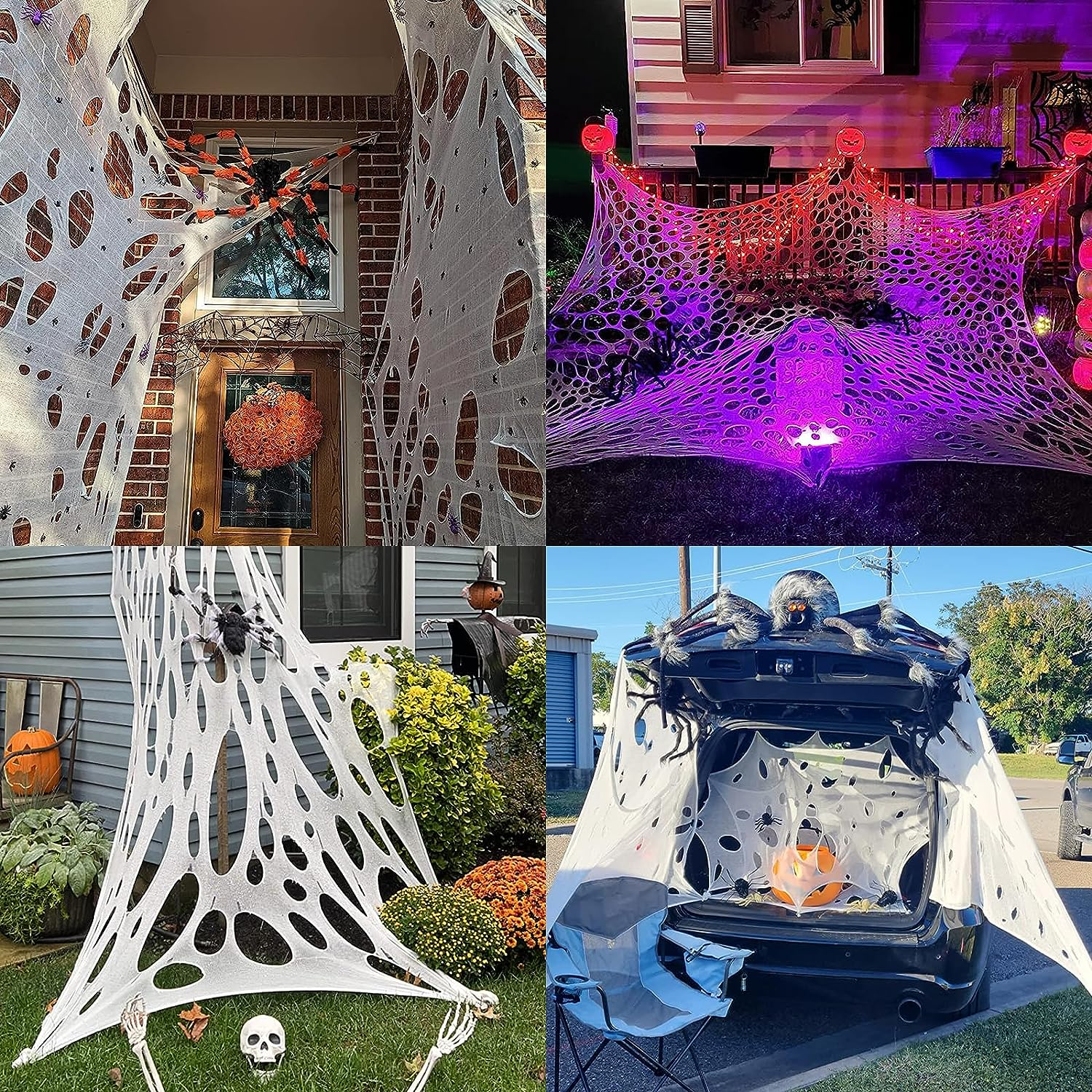 Picture 6 of 12