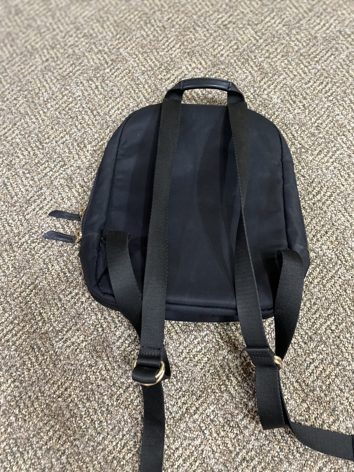 Picture 5 of 5