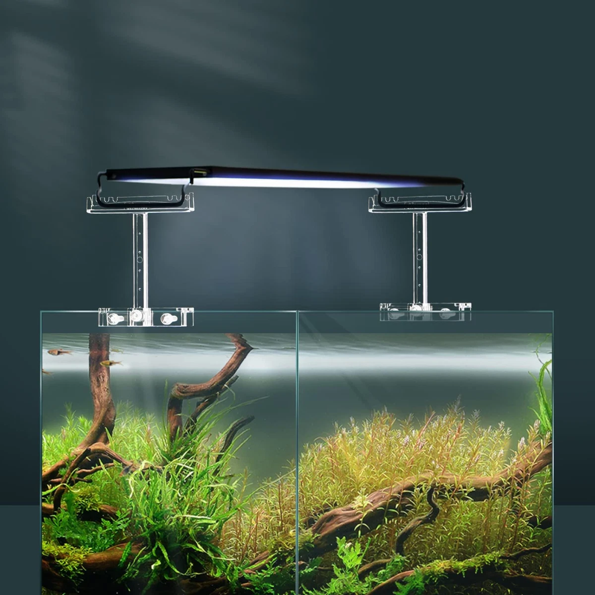 Hanging aquarium shop