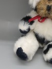 Bild 9 von 15