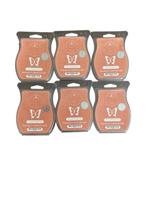 Scentsy Coconut Pumpkin Pie 6 Brand New Bars