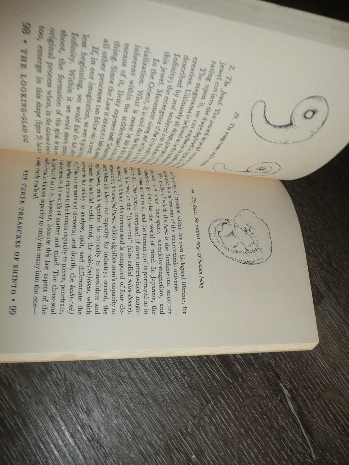 The looking-glass God: Shinto, Yin-yang, and a cosmology for today Vintage 1972