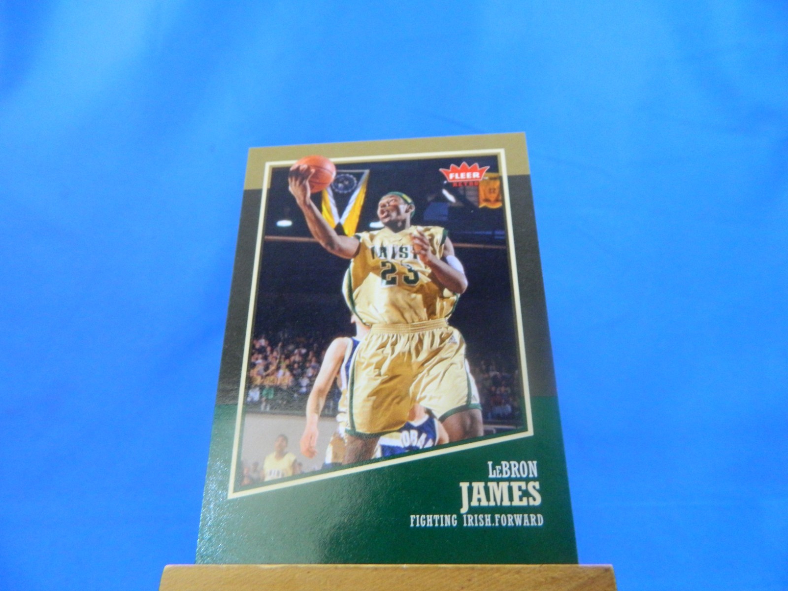 LeBron James Fleer Retro 2013-14 #39