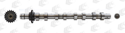 AE CAM746 Nockenwelle für CITROËN,FORD,MINI,PEUGEOT,SANTANA,SUZUKI