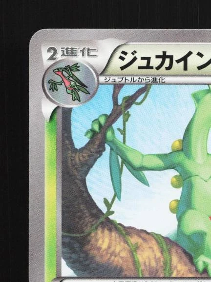 Sceptile 003/049 NM M Master Deck Build Box Speed Style Japanese Pokemon Card - Image 4 of 4