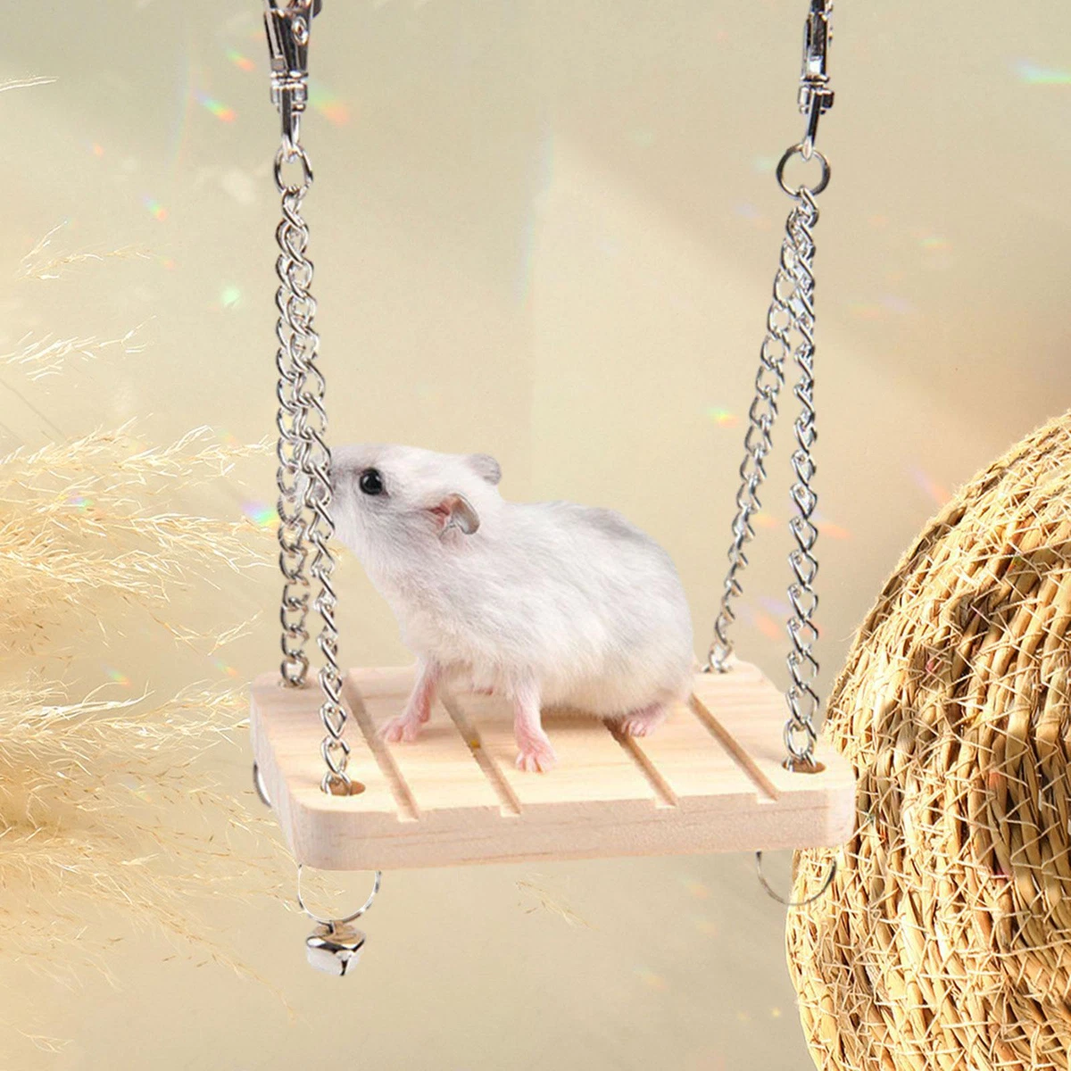 Easy hamster sales