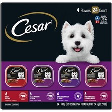 CESAR Classic Loaf in Sauce Gourmet Wet Dog Food Variety Pack 24 Trays 3.5 oz