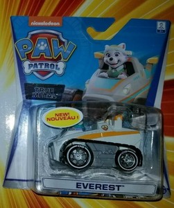 everest pup and vehicle