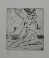 OFFERTA Alberto Martini, puntasecca Nemesi