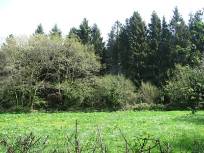 Photo 6x4 Small grass field Hawkerland Almost surrounded by woodland. c2011