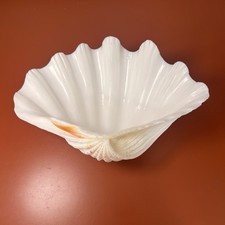 Natural Giant Clam Shell Seashell 9”x6.5”  Sea Ocean White Fluted Nautical Bowl
