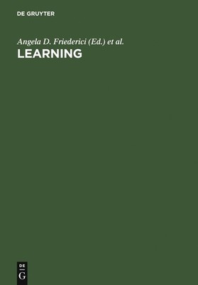 Learning: Rule Extraction and Representation [Hardcover]