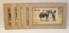99: (5) c.1915 Racing Horse Photos (possibly Binghamton, NY)