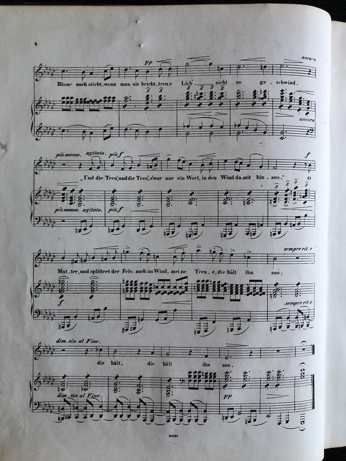 Bild 6 von 12