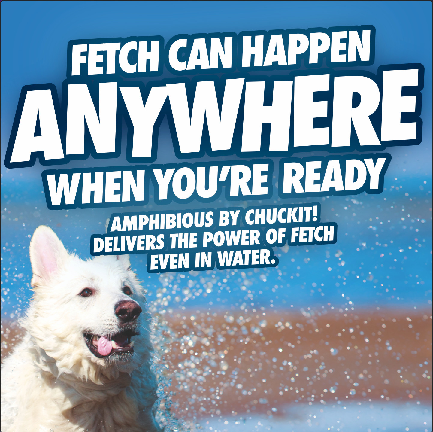 Chuckit! Amphibious Roller