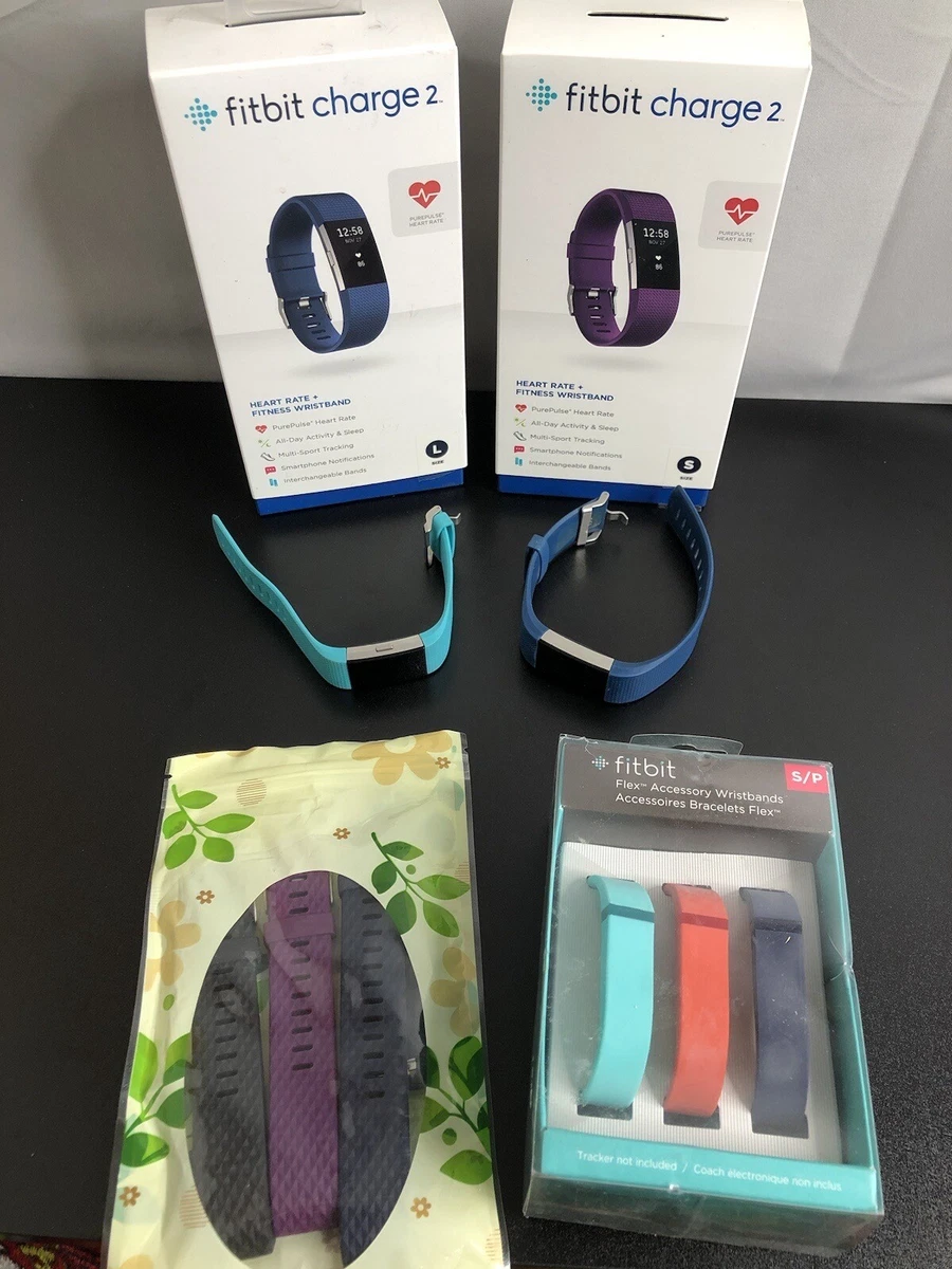 Fitbit charge online large