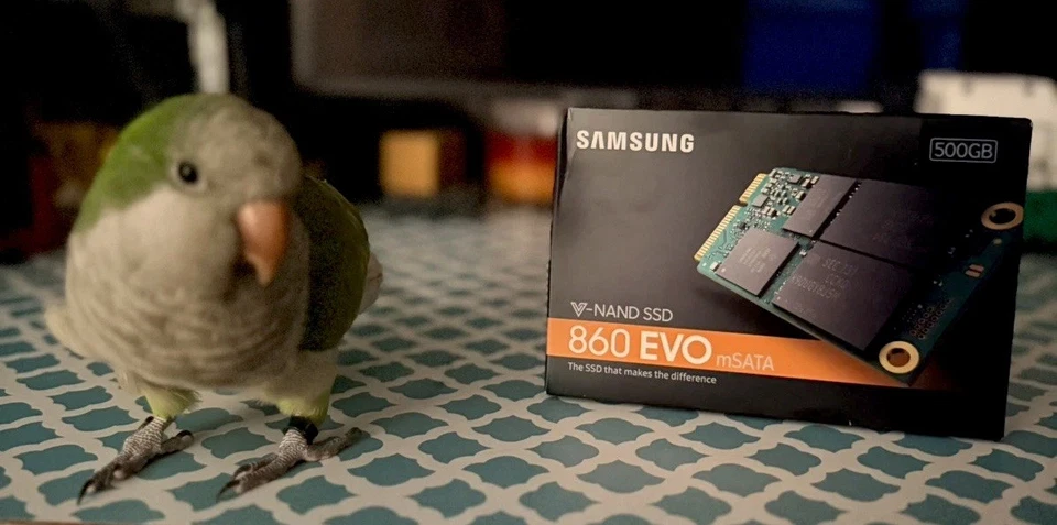 SAMSUNG SSD 860 EVO mSATA 500gb 500 gb SATA III MZ-M6E500BW solid state drive - Image 4 of 4