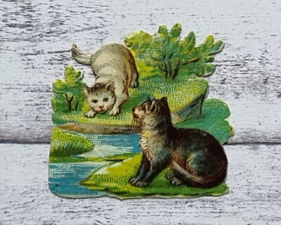 um 1900 Katze Fluss Tier Glanzbild Oblate Prägedruck Ephemera Vintage Deko alt