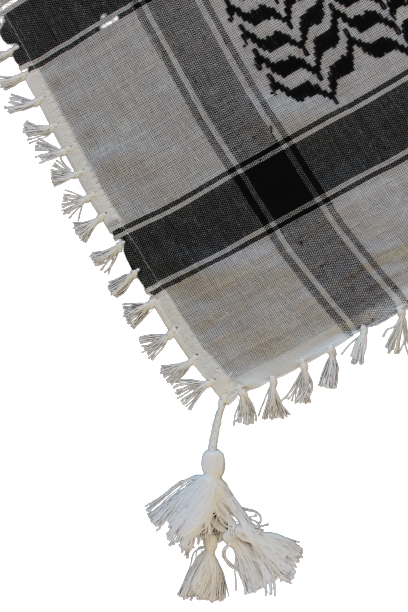 ANCLLO 2 Pezzi Sciarpa Con Bandiera Della Palestina, Scialle In Raso Con Modello Di Bandiera Nazionale Palestinese, Kefiah Araba Musulmana Su Doppio Lato, Regalo Di Sostegno Della Palestina - Foto 13