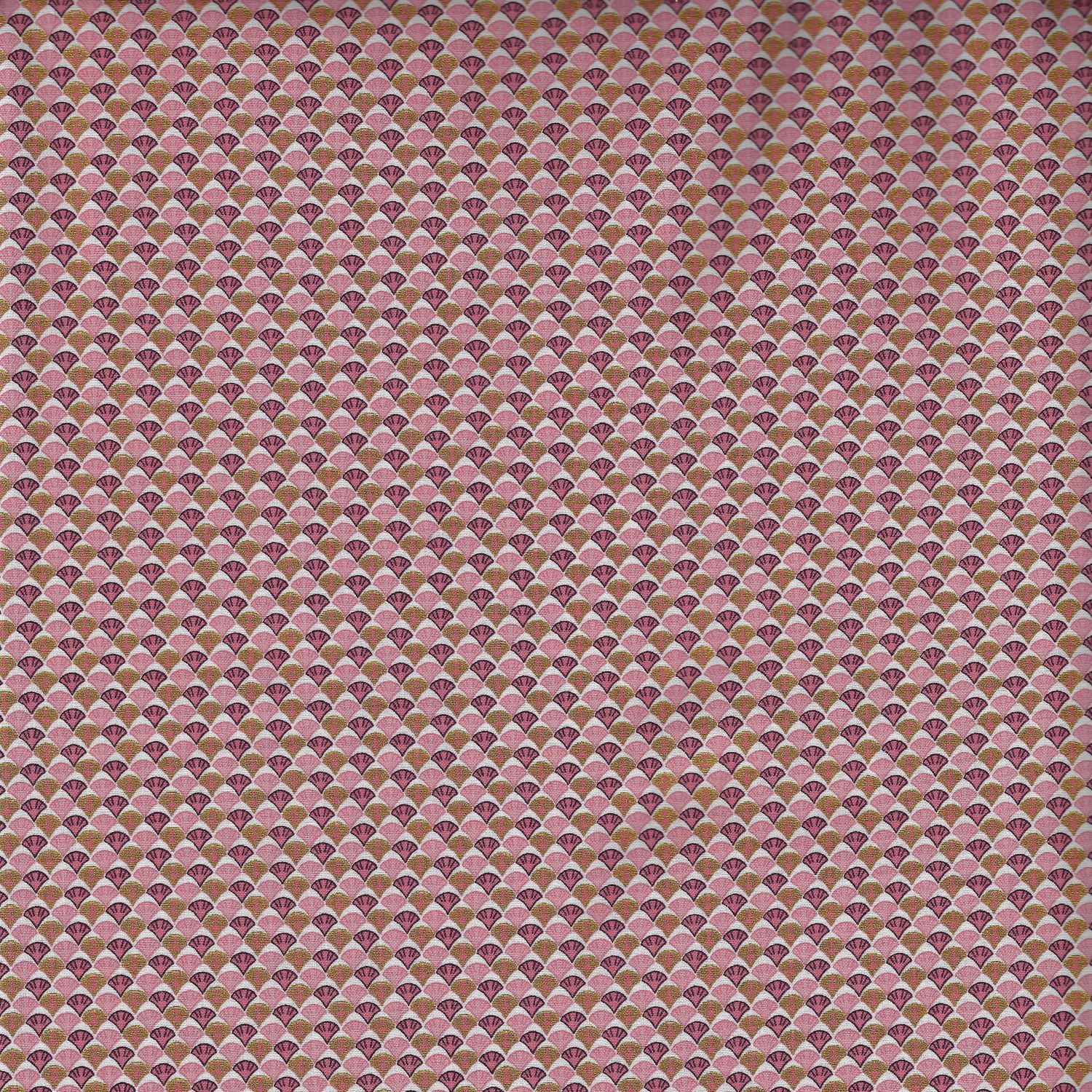 Picture 6 of 11