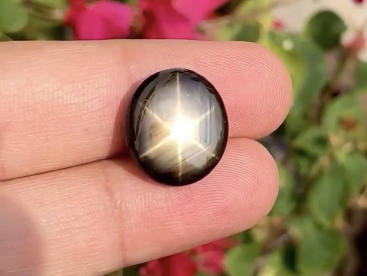 Natural black star best sale sapphire
