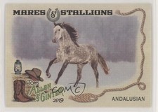 2019 Topps Allen & Ginter Mares and Stallions Andalusian Horse #MS-9 y0q