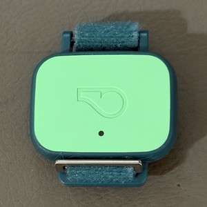 Whistle Dog GPS Tracking Collar - Bluetooth Rechargeable, iOS Compatible, Teal