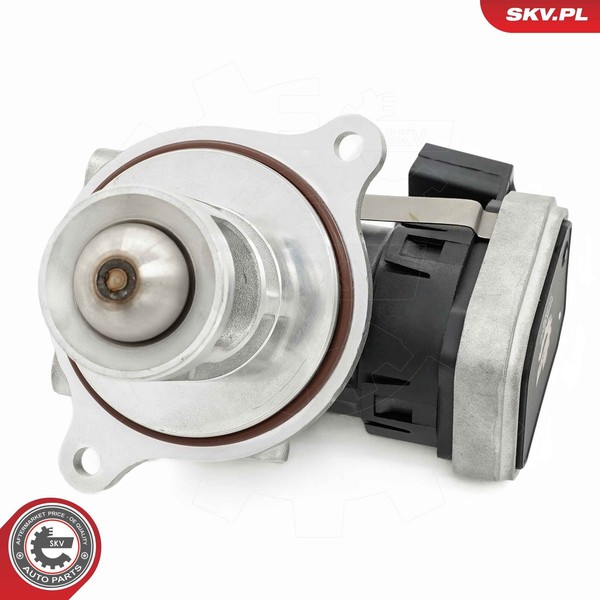 Esen SKV 14SKV272 Agr-Ventil FüR MERCEDES-BENZ-image